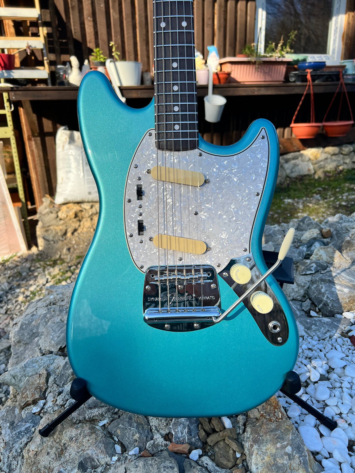 Hollowtone Mustang