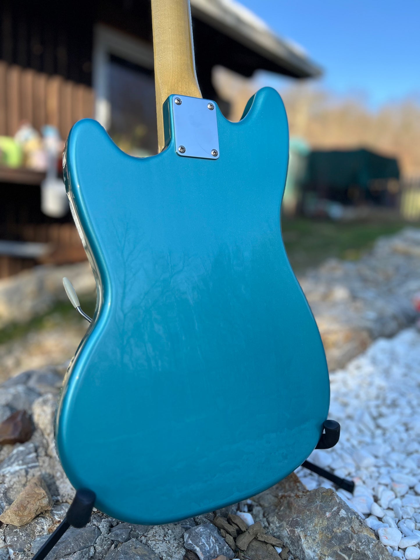 Hollowtone Mustang