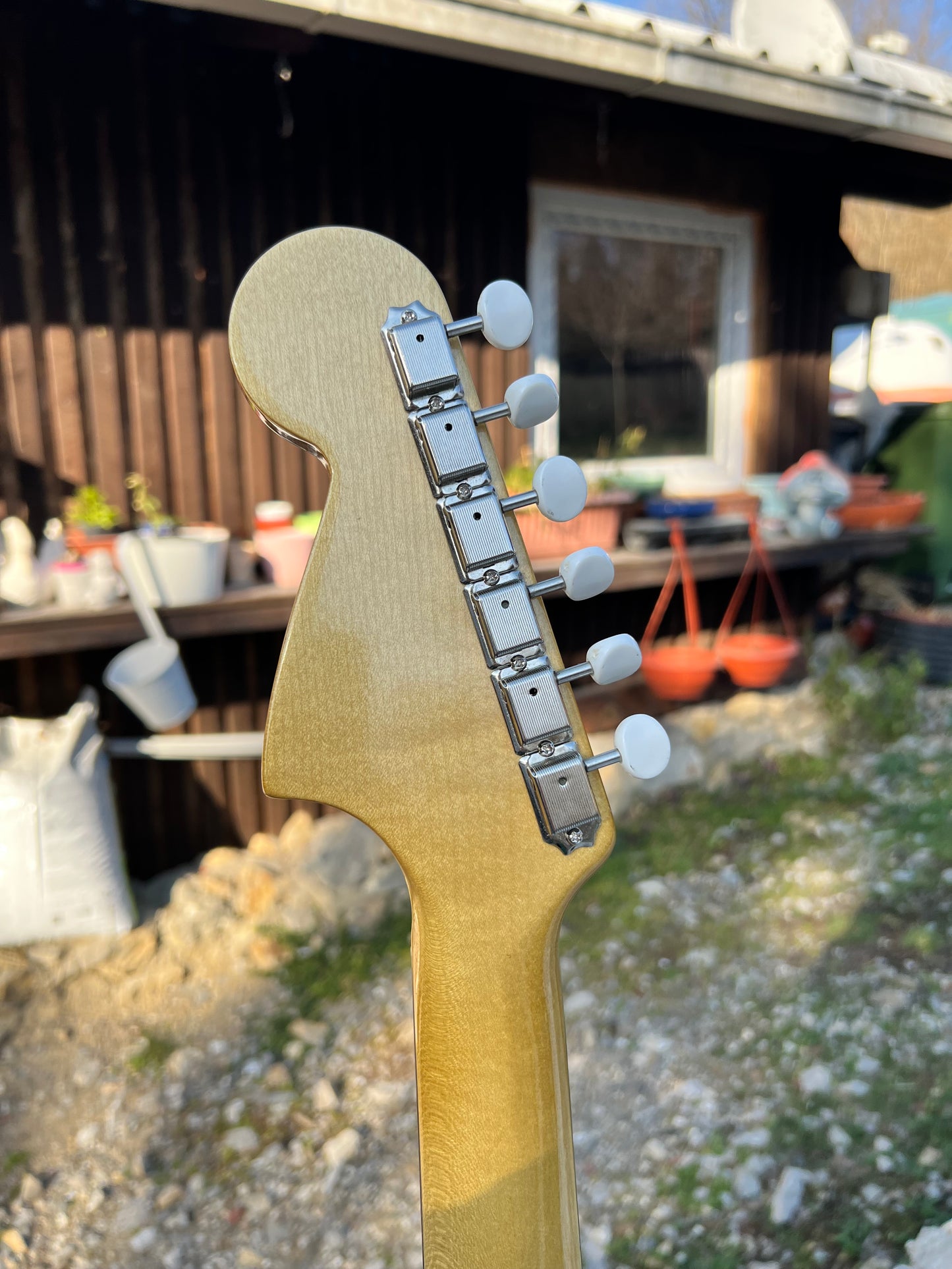 Hollowtone Mustang