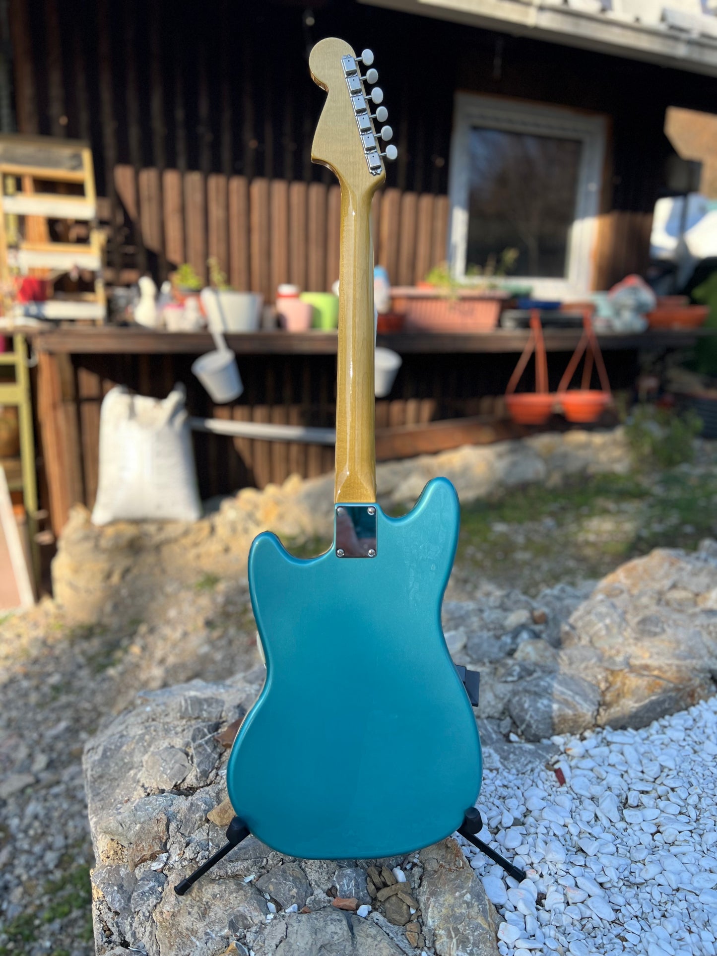 Hollowtone Mustang