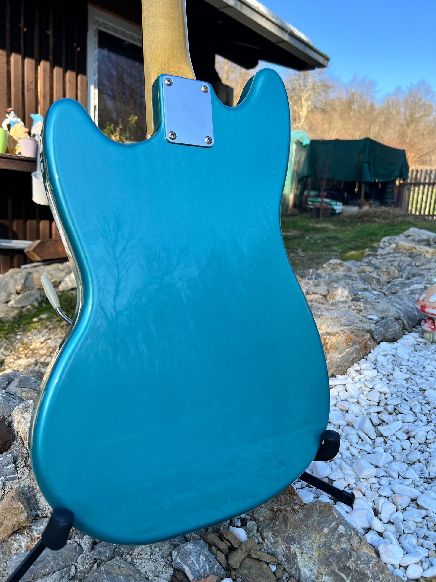 Hollowtone Mustang