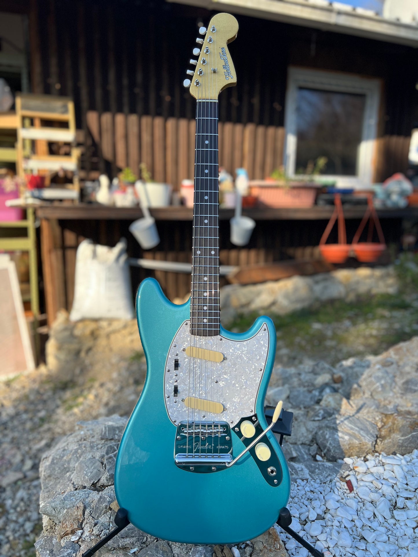 Hollowtone Mustang