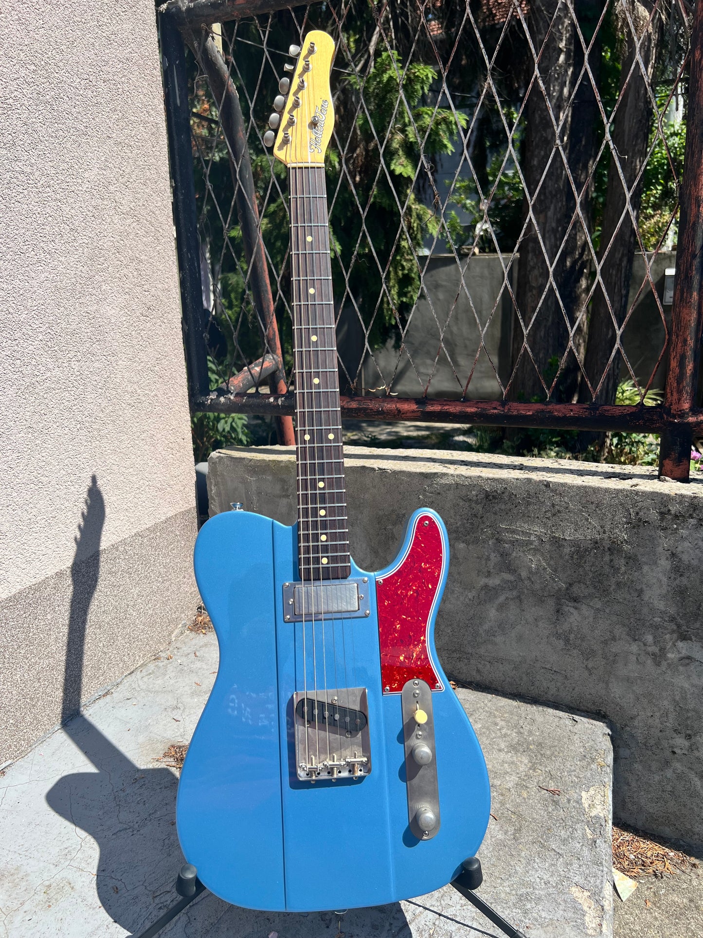 Hollowtone Bluebird in Pelham Blue metallic