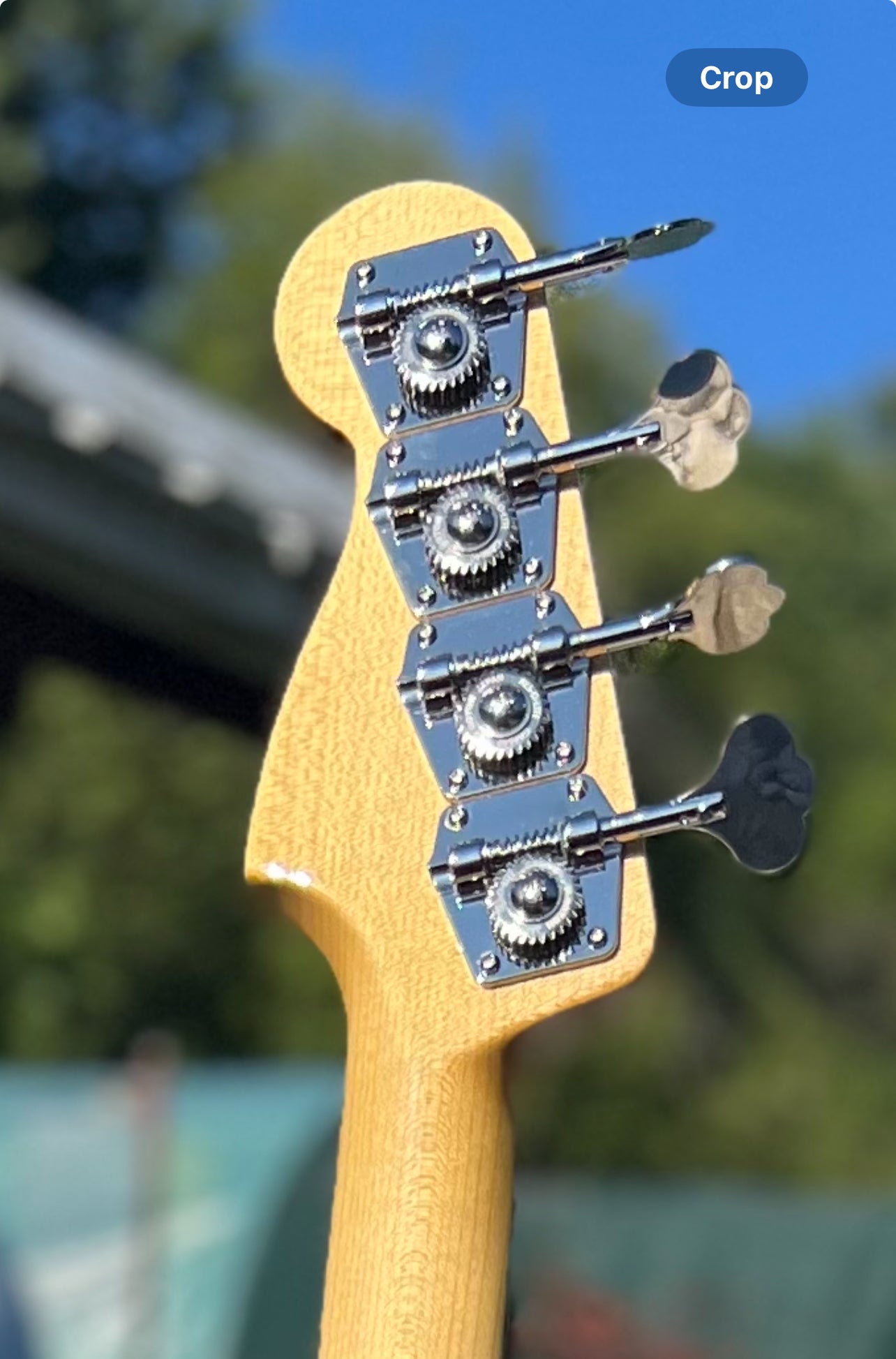 Hollowtone Precision Bass